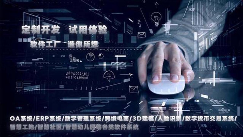 重庆系统定制